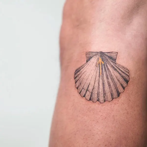 조개껍데기