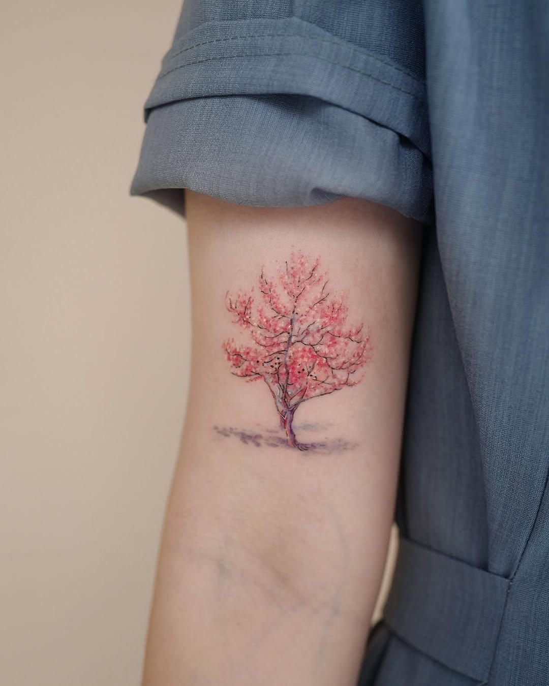 Nature, 나무, Flower, 숲, 소나무