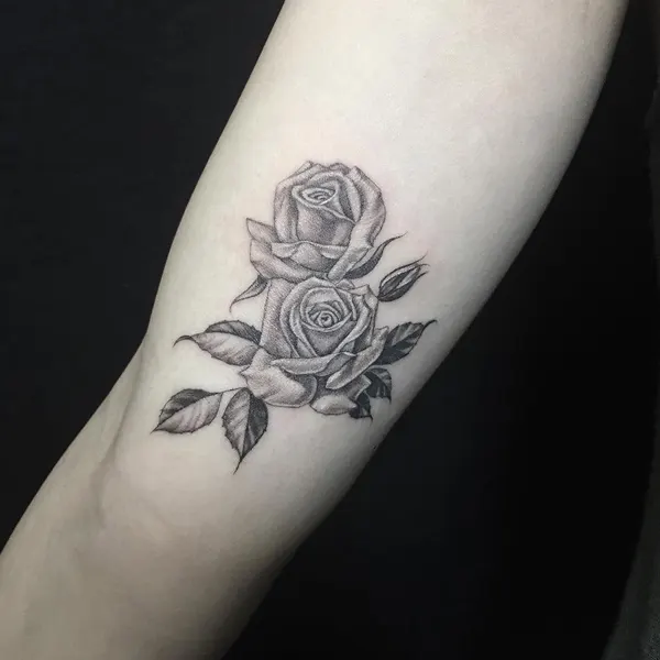 Flower, Rose
