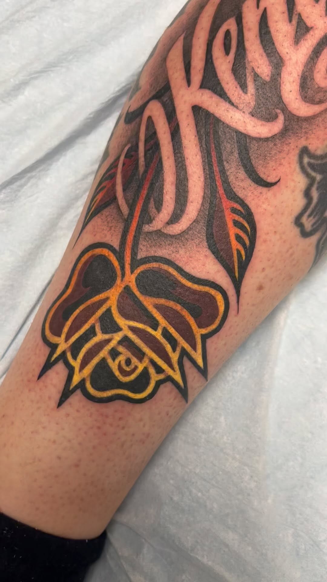 Flower, Rose