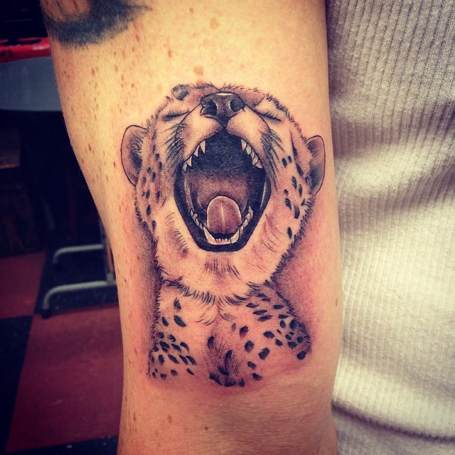 Animal