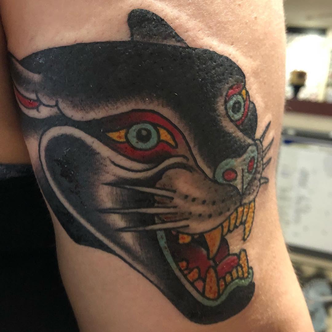 Animal, Tiger