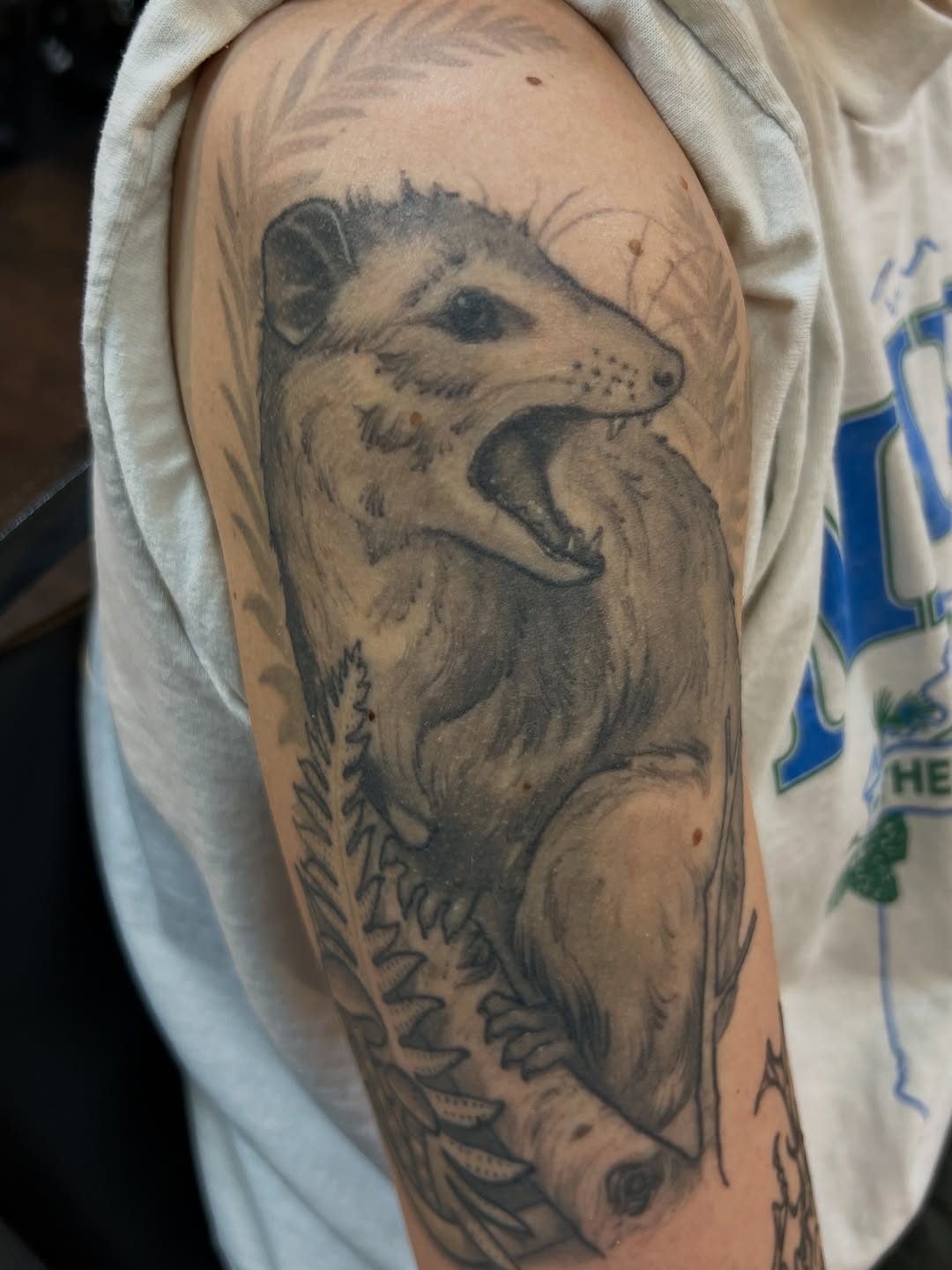 shawn_hebrank