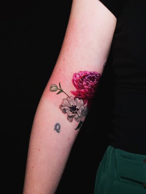 Flower, Rose, Nature