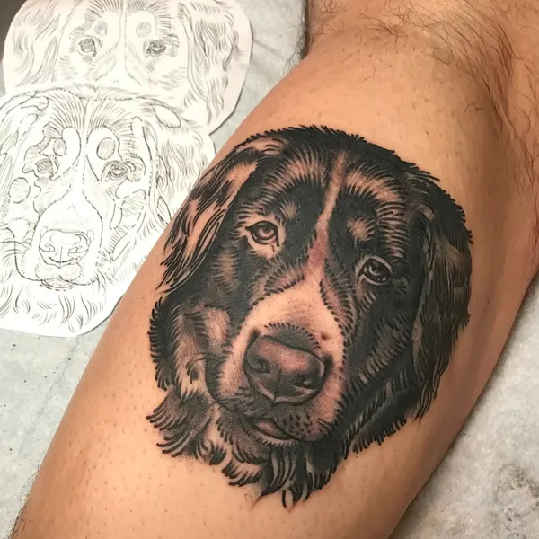 Animal