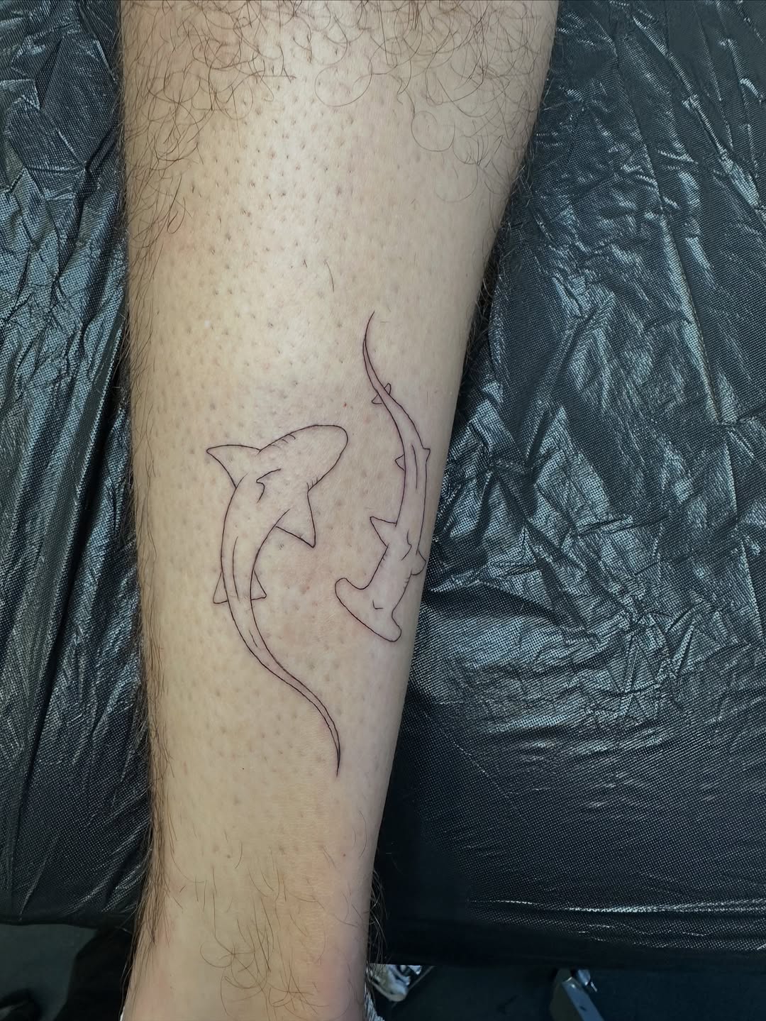 steffan_eagle_tattooer
