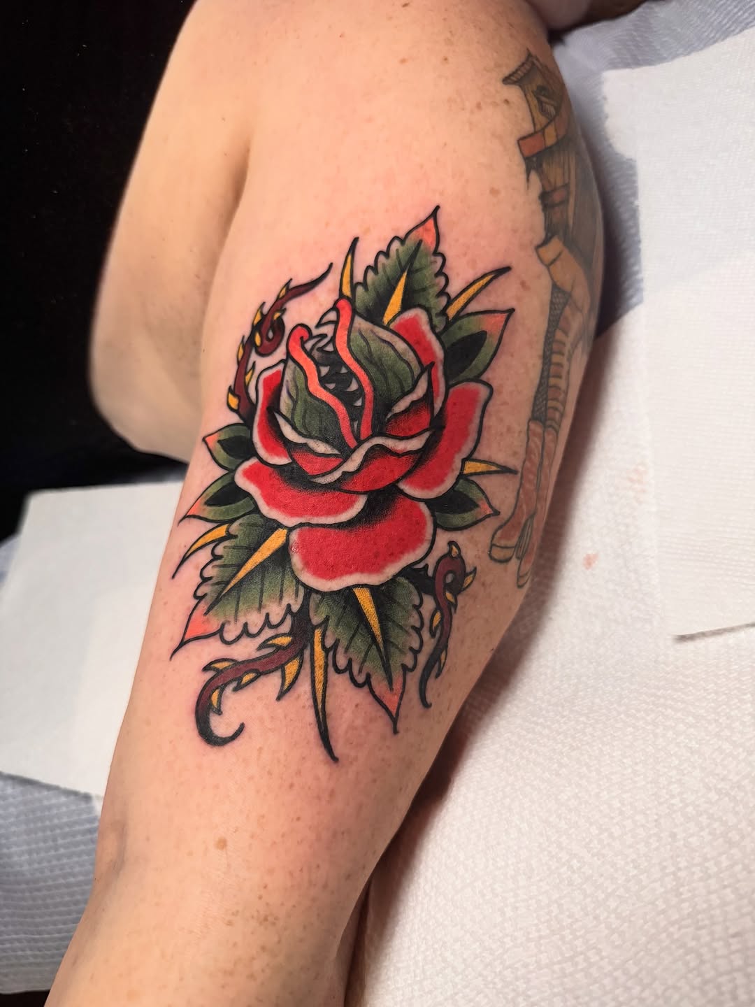 Flower, Rose