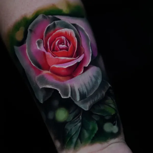 Flower, Rose