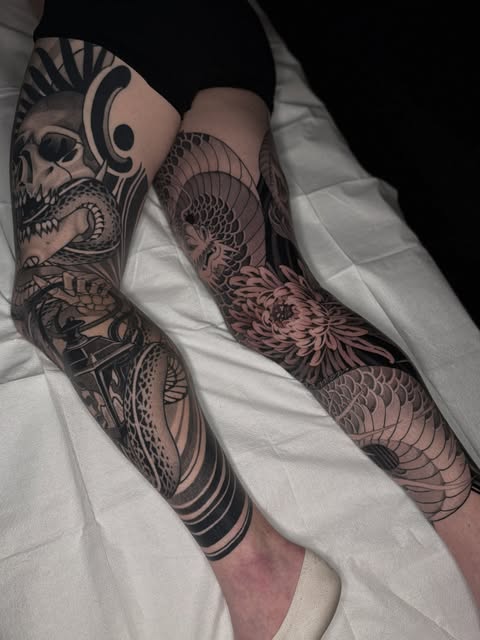 Dragon, Animal
