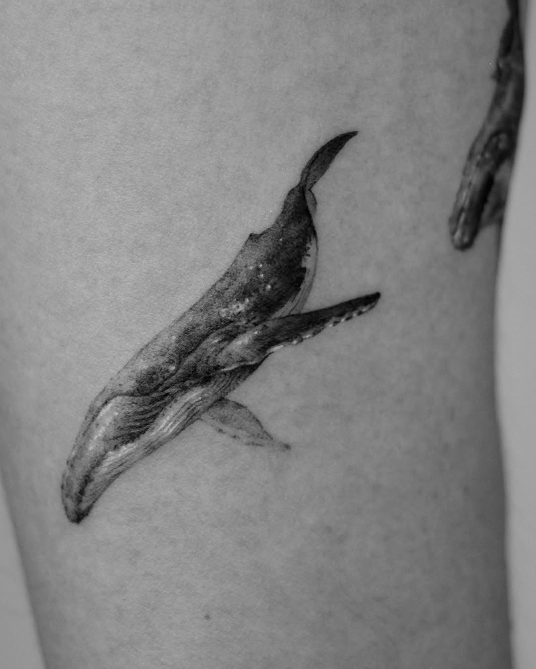 40.tatt
