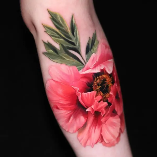 Flower, Rose