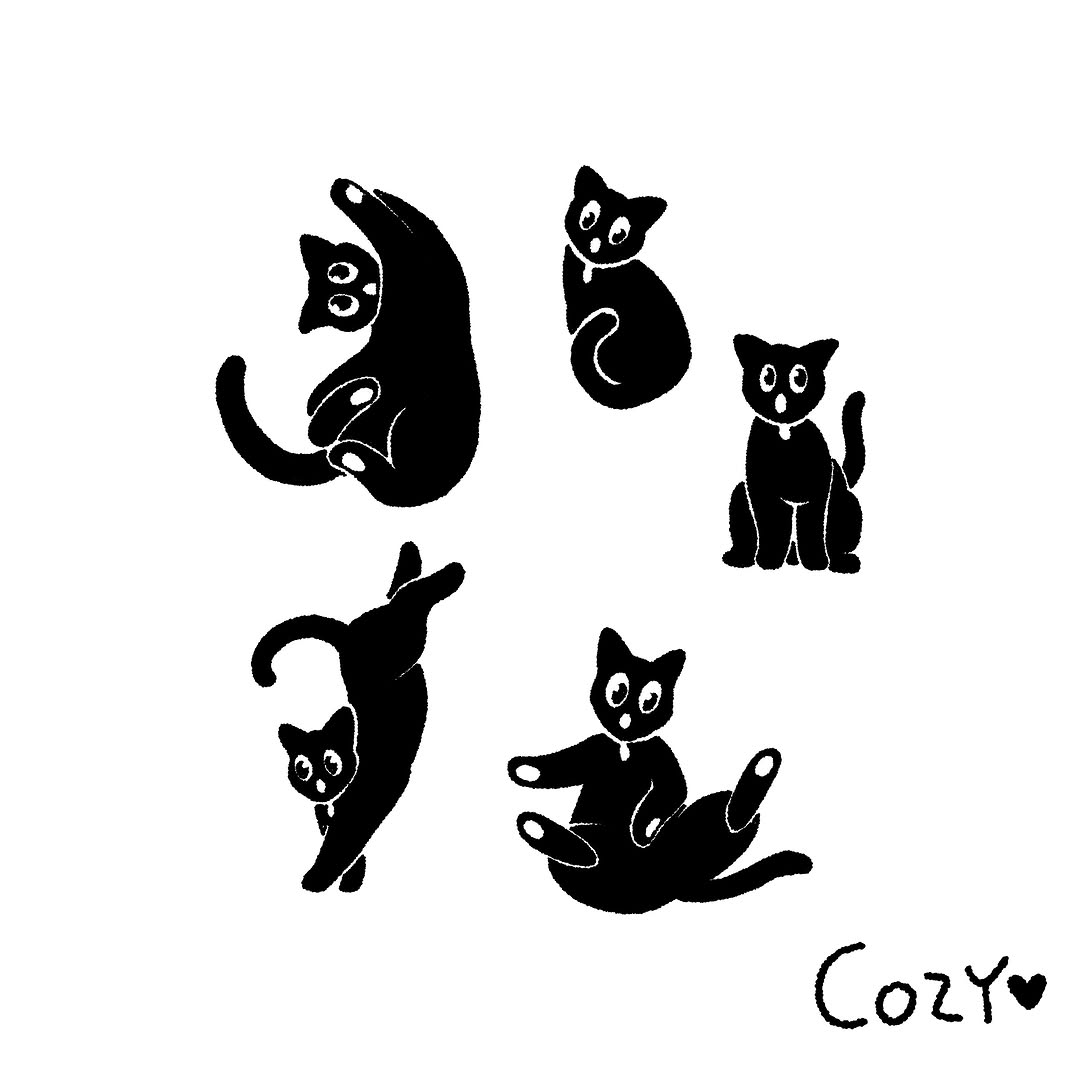 Animal