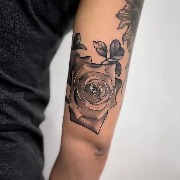 Flower, Rose, Nature
