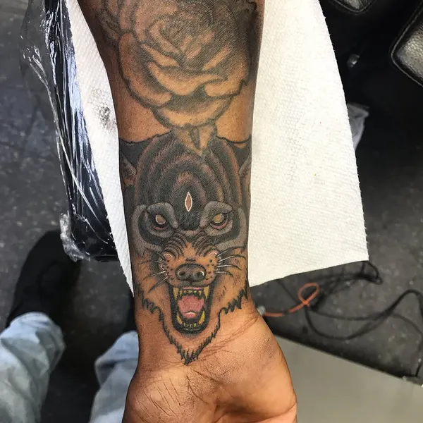 Tiger, Animal