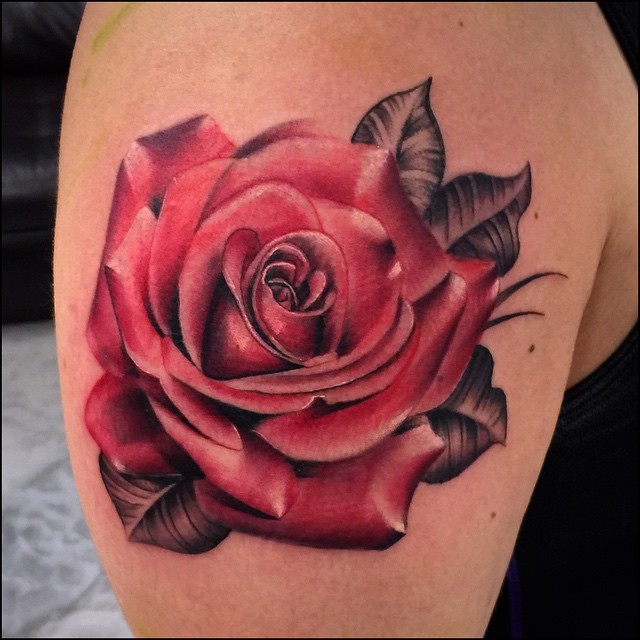Flower, Rose, Nature