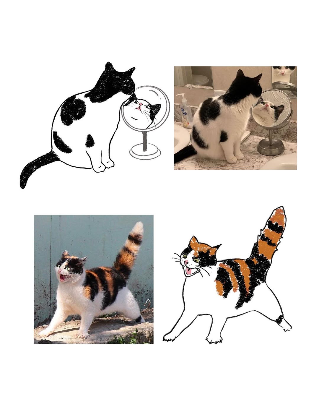 Animal