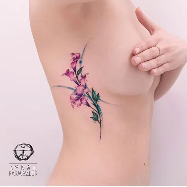 equilattera