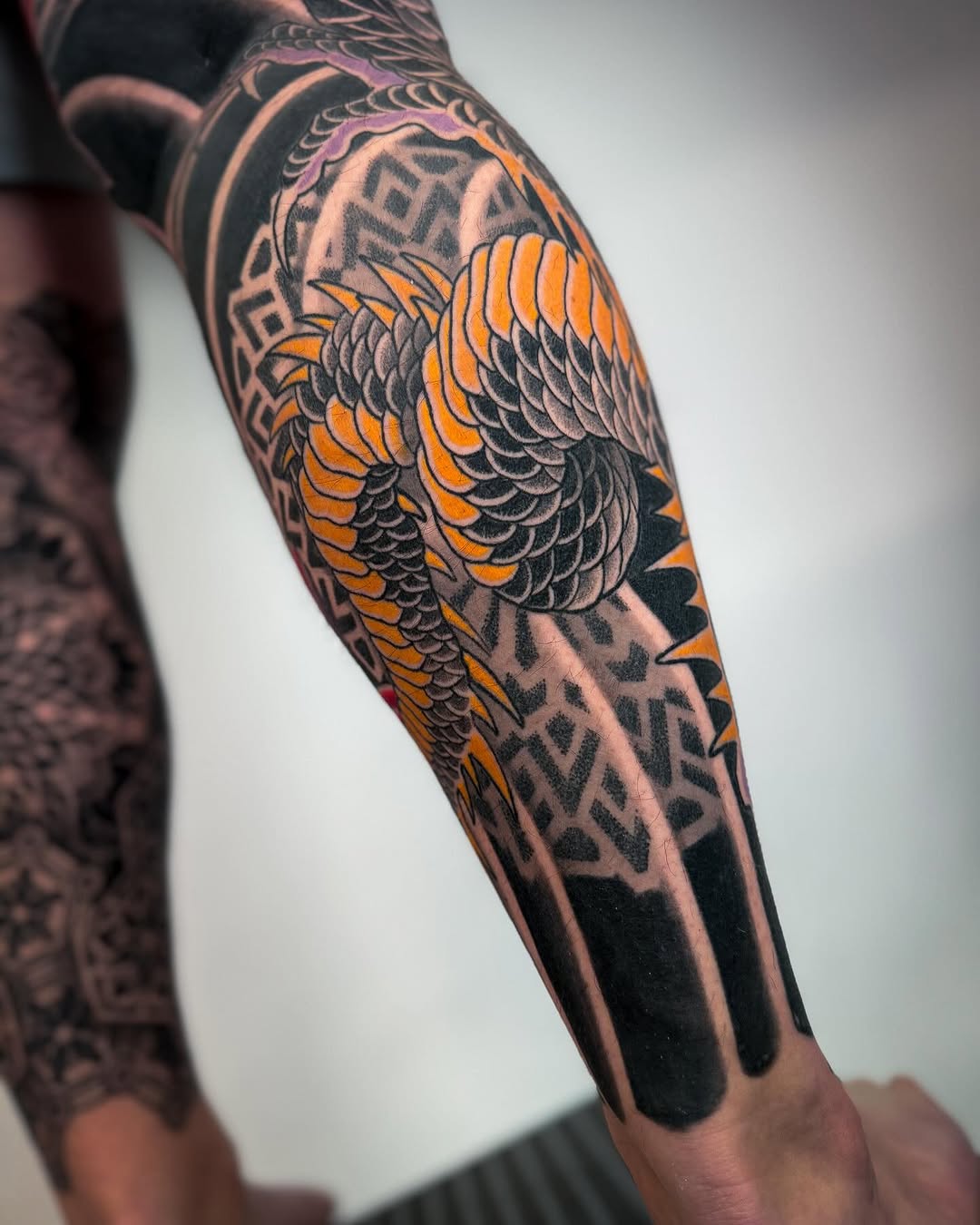 Dragon