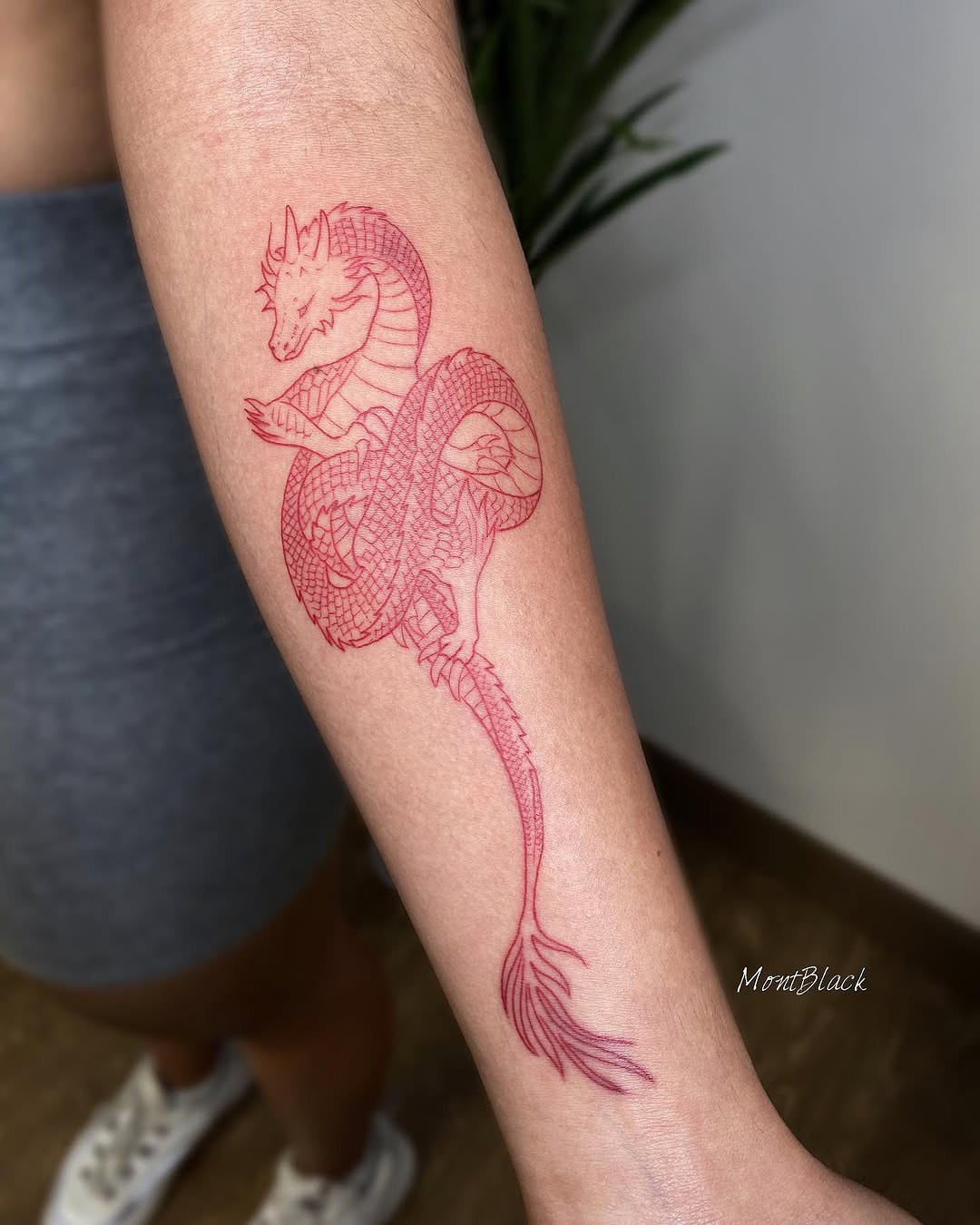 Dragon