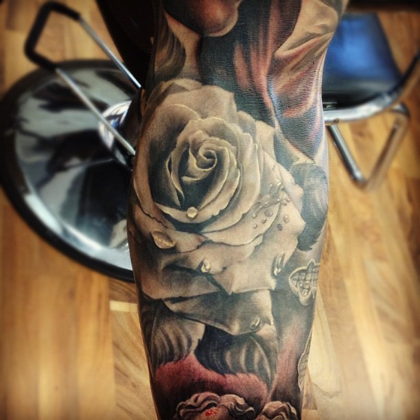Flower, Rose