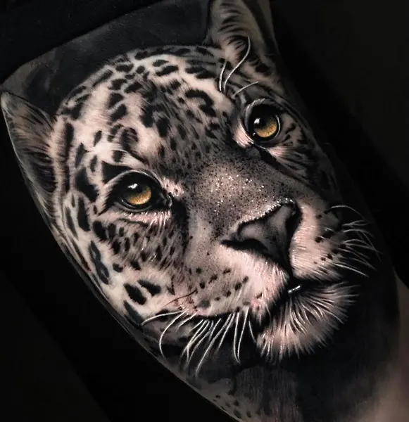 Animal