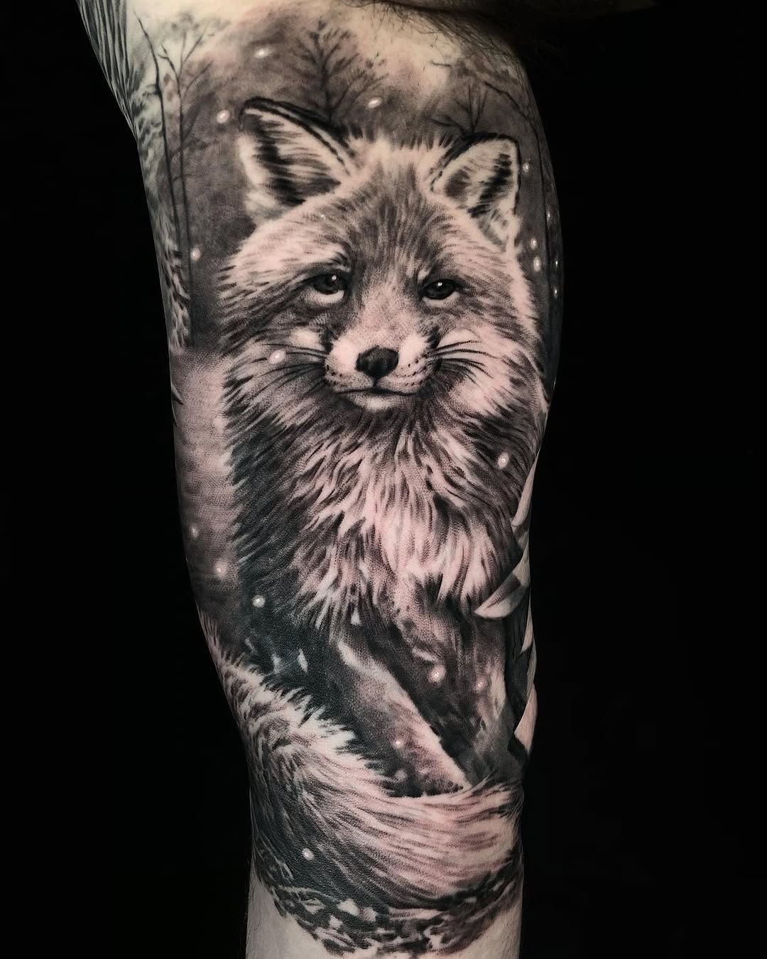 Animal