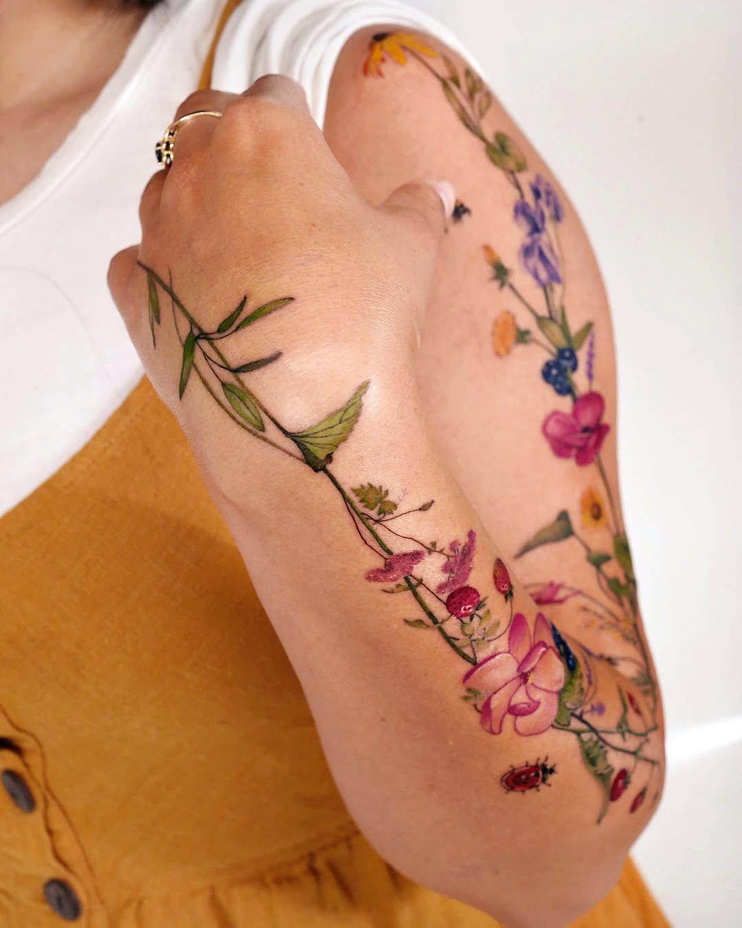 Flower, Rose