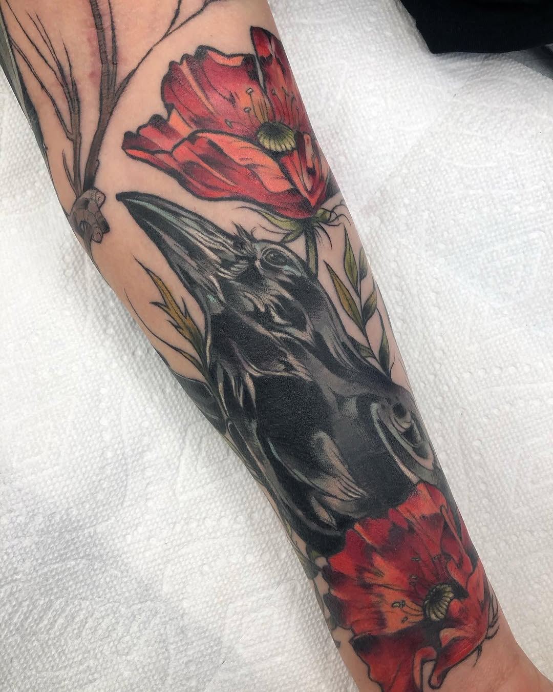 elliejoliv