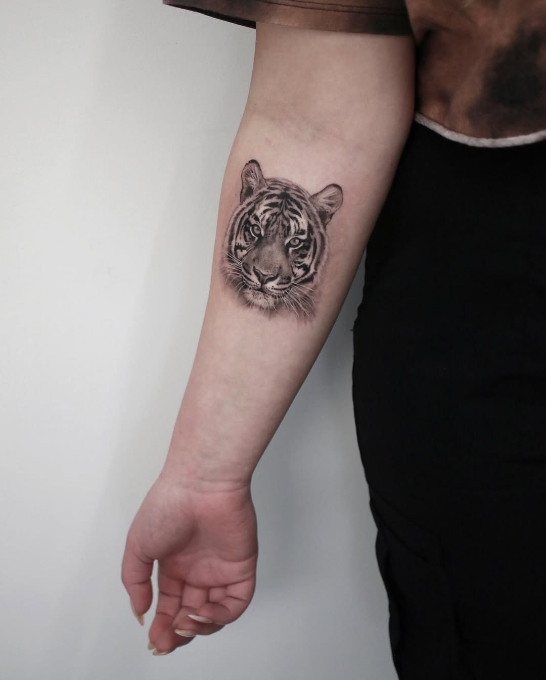 Tiger, 중국 호랑이, 치타