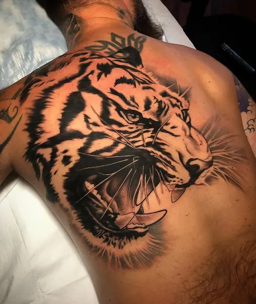 Tiger