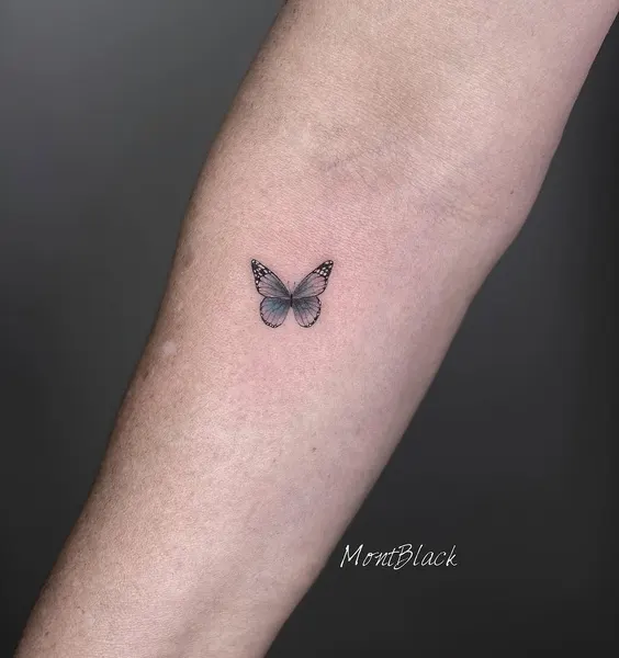 Animal, Nature