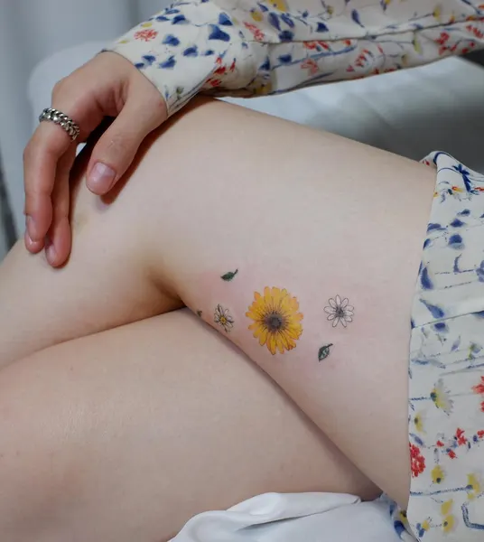 데이지, 해바라기, 민들레