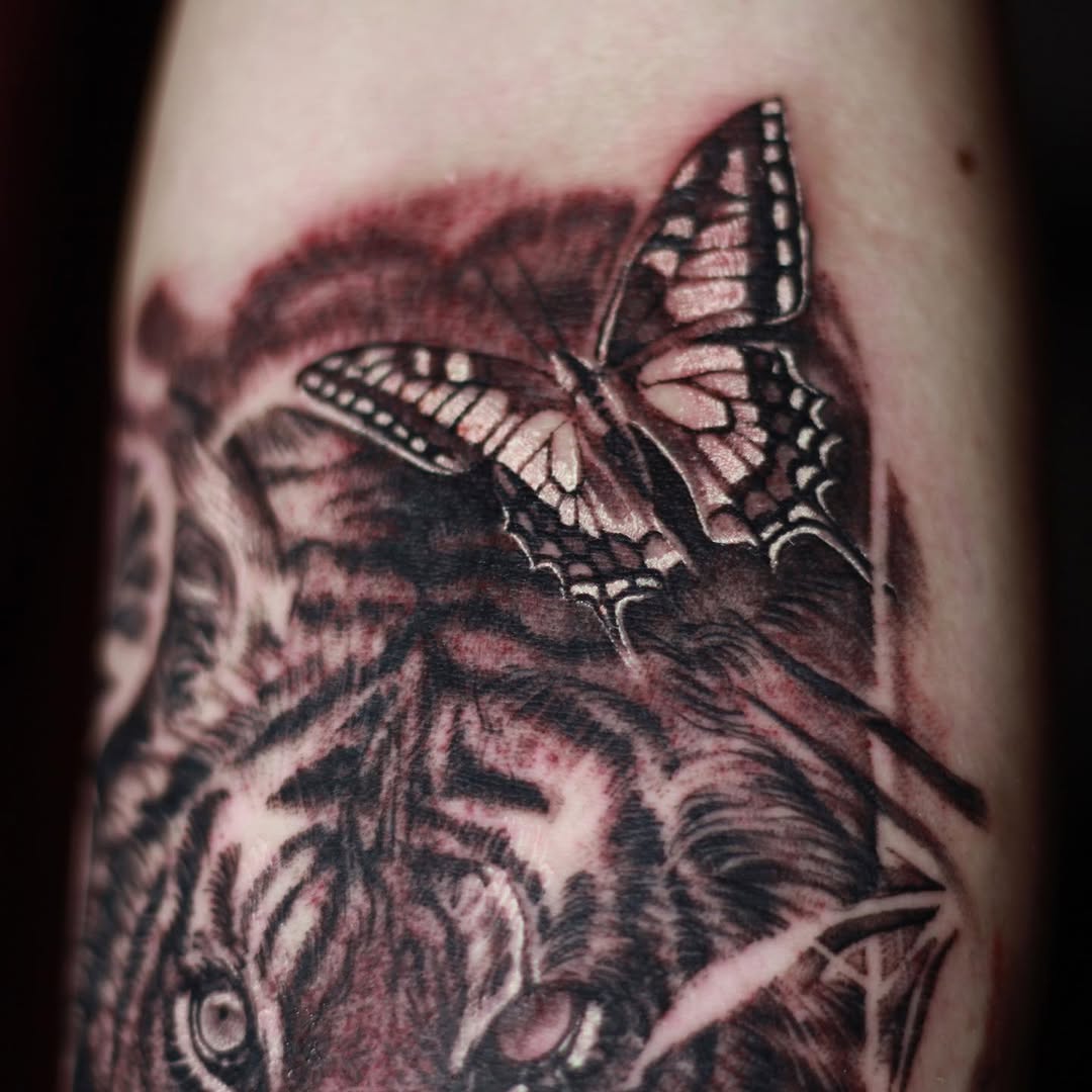 Tiger