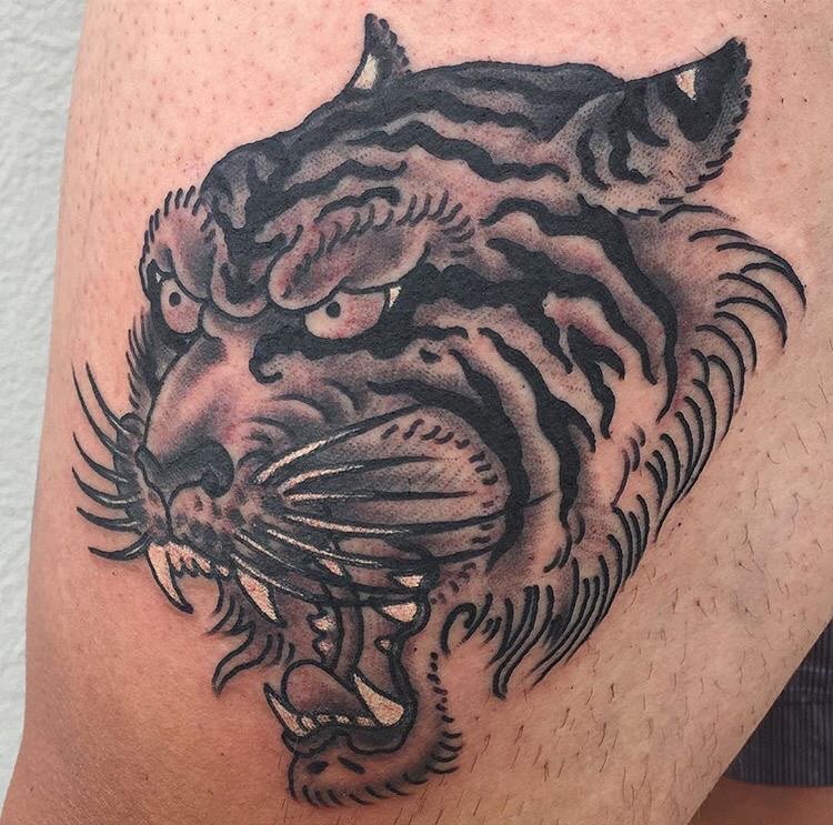 Tiger, Animal