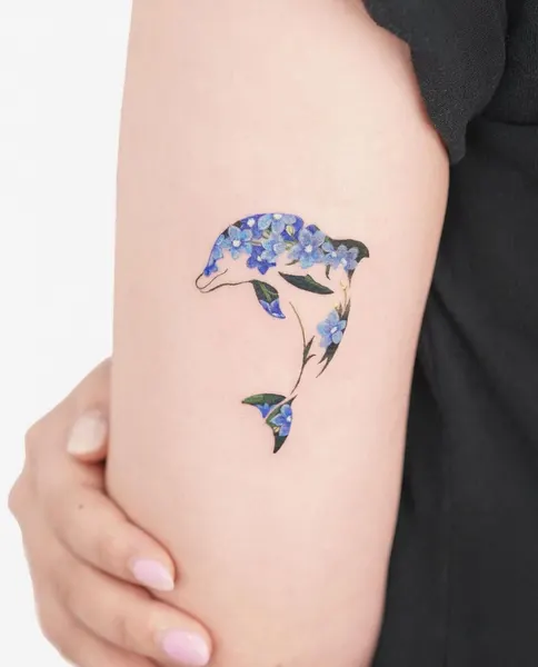 equilattera