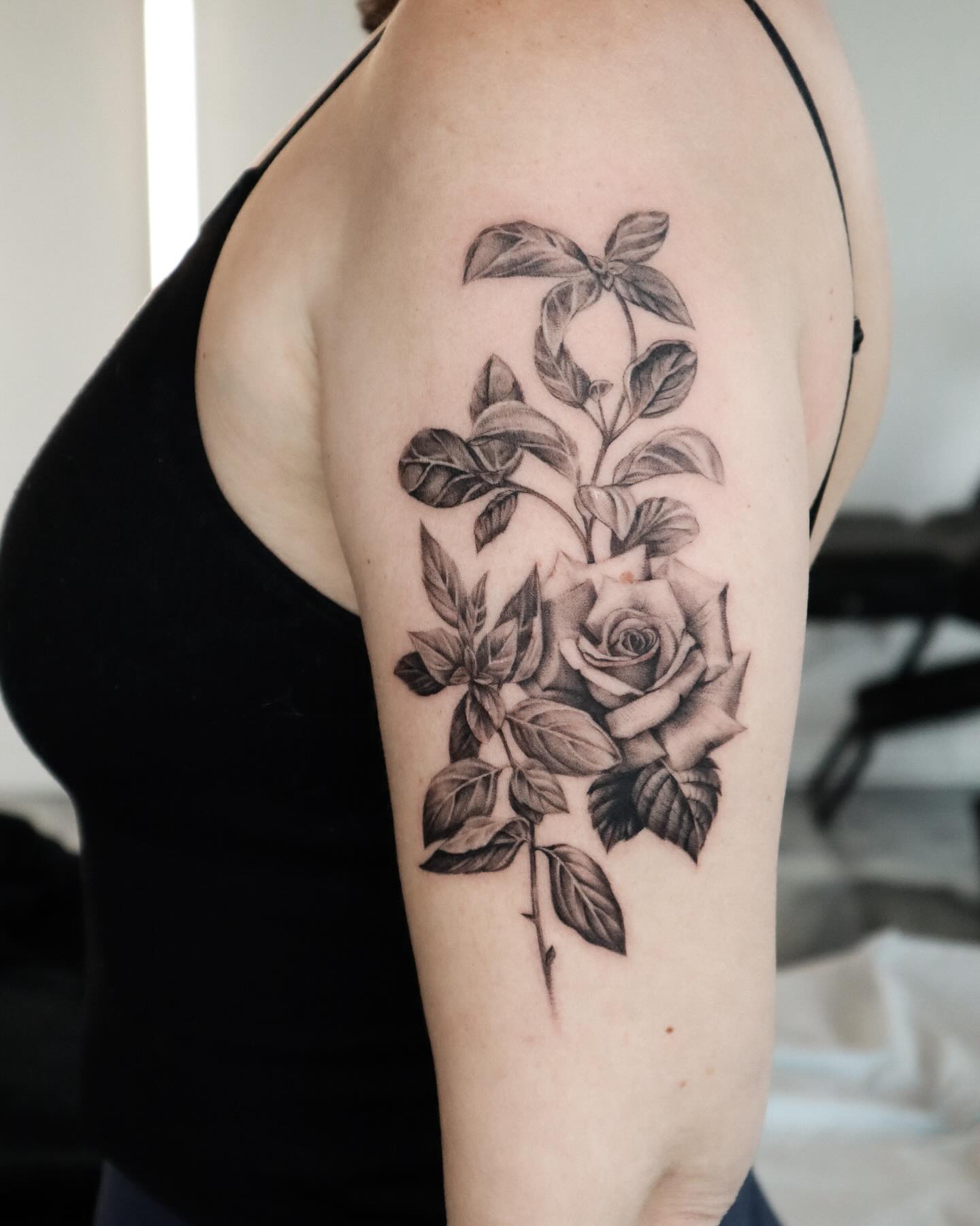 Flower, Rose, Nature