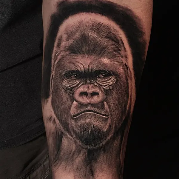 Tiger, Animal