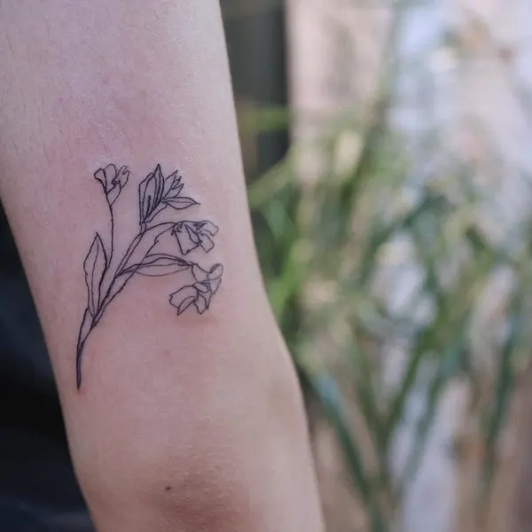 Flower, Rose