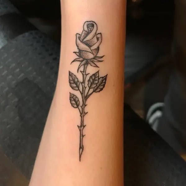 Flower, Rose