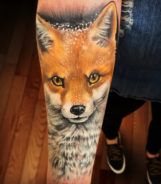 Animal