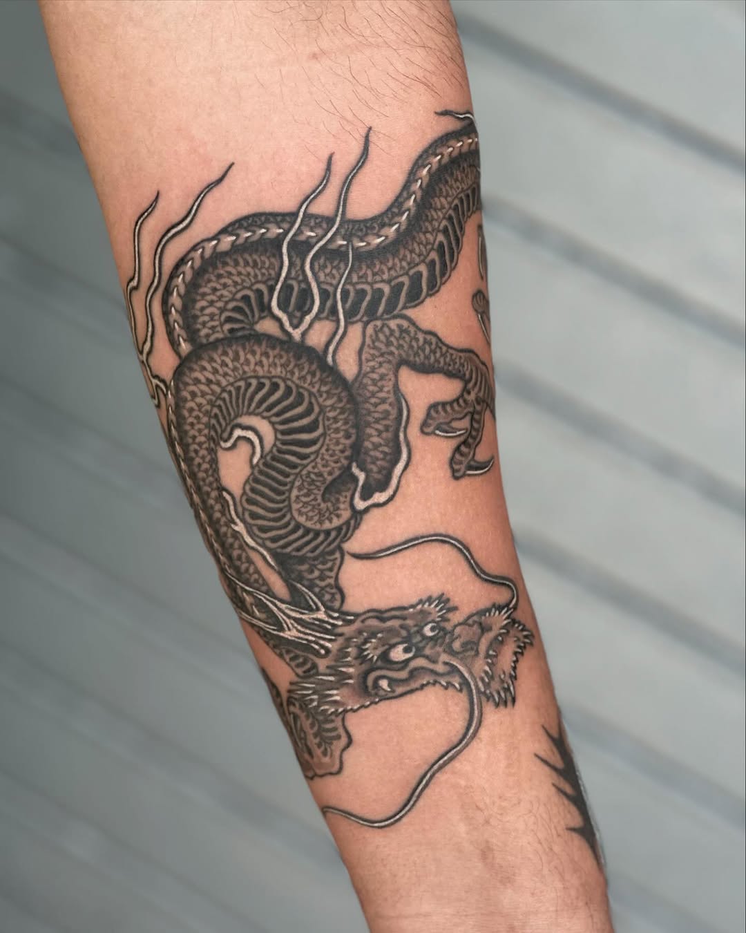 Dragon