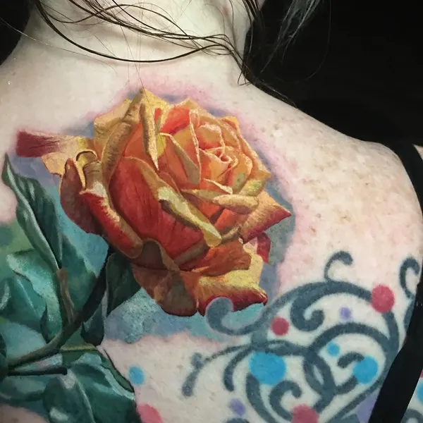 Flower, Rose, Nature