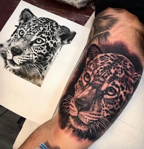 Animal