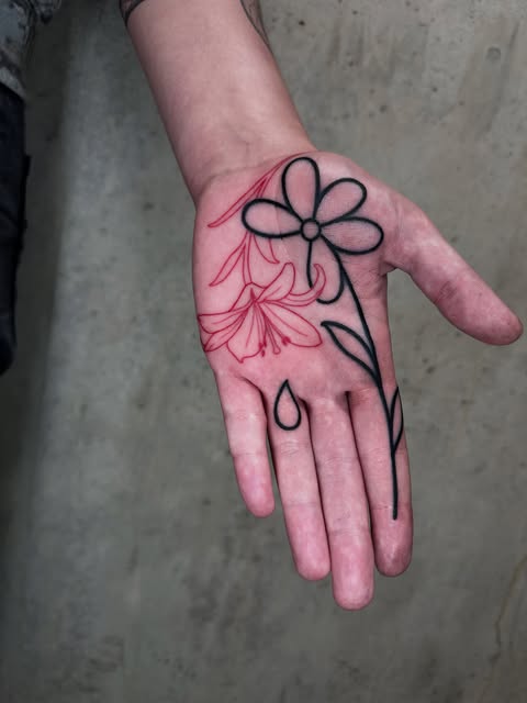Flower, Rose