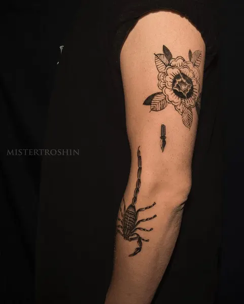 mistertroshin