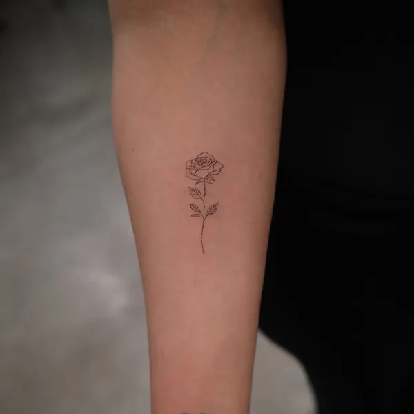 Flower, Rose