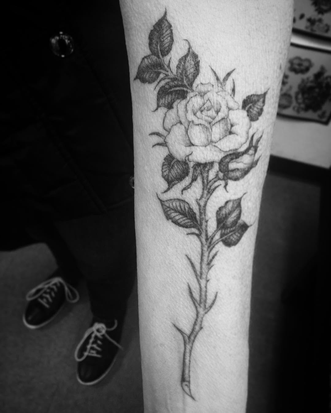 Flower, Rose