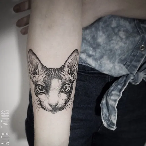Animal