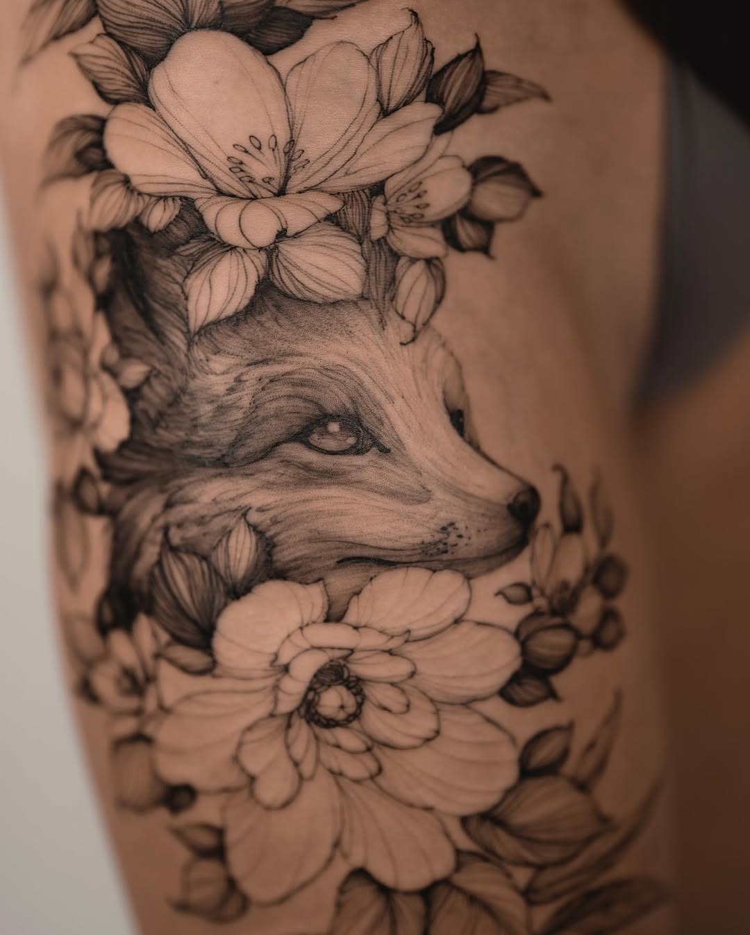 Animal