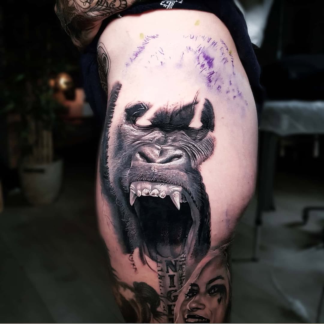 Tiger, Animal